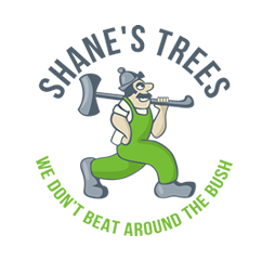 Shanes Trees